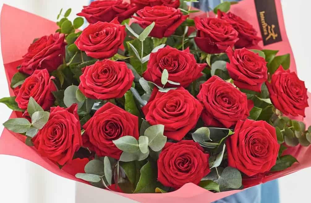 Eightin Roses 18 Red Roses | Courts Of Rayleigh Florist
