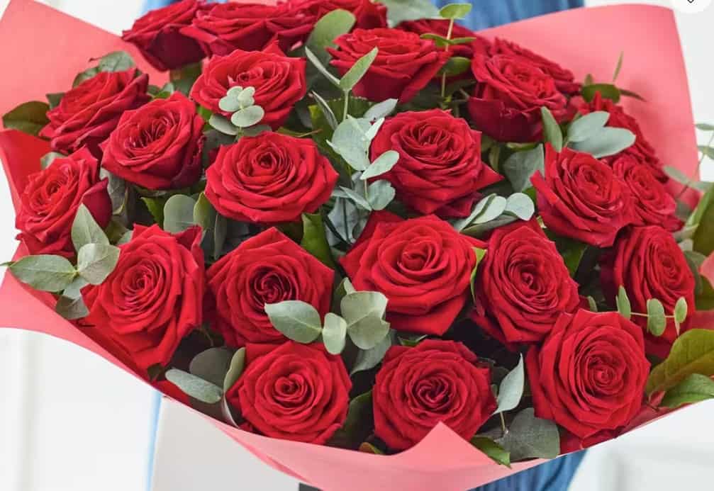 24 Luxury Red Rose Bouquet | Courts Of Rayleigh Florist